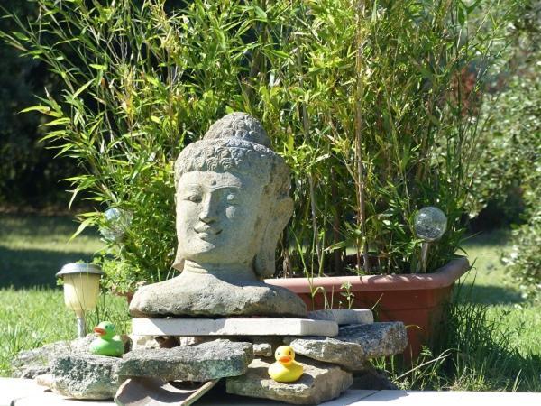 Willa Les Anges LʼIsle-sur-la-Sorgue Zewnętrze zdjęcie